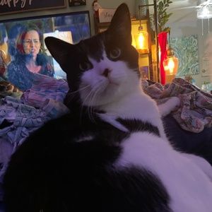 Meet your Posher, Sandy